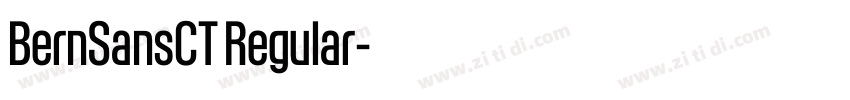 BernSansCT Regular字体转换